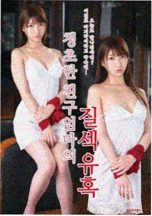 韩剧律政题材免费看
